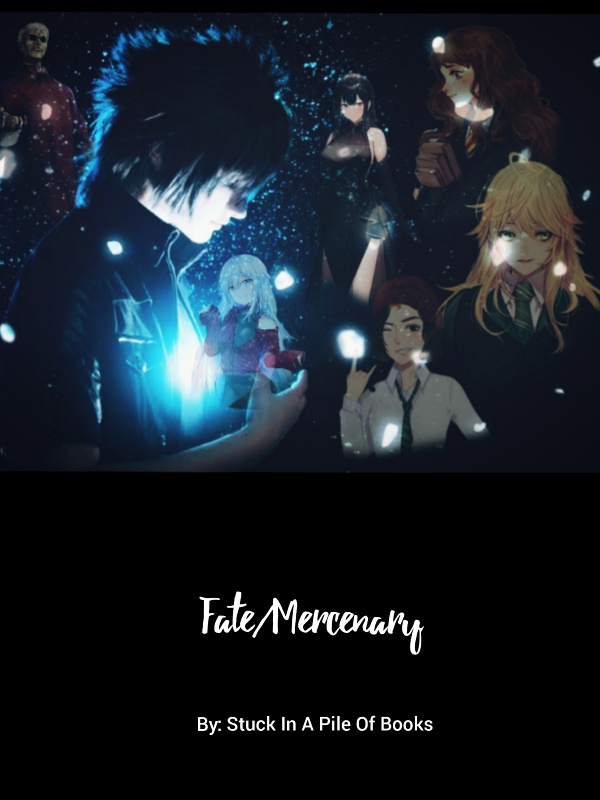 Fate/Mercenary: A travel across the omniverse.