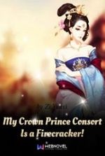 My Crown Prince Consort Is a Firecracker!